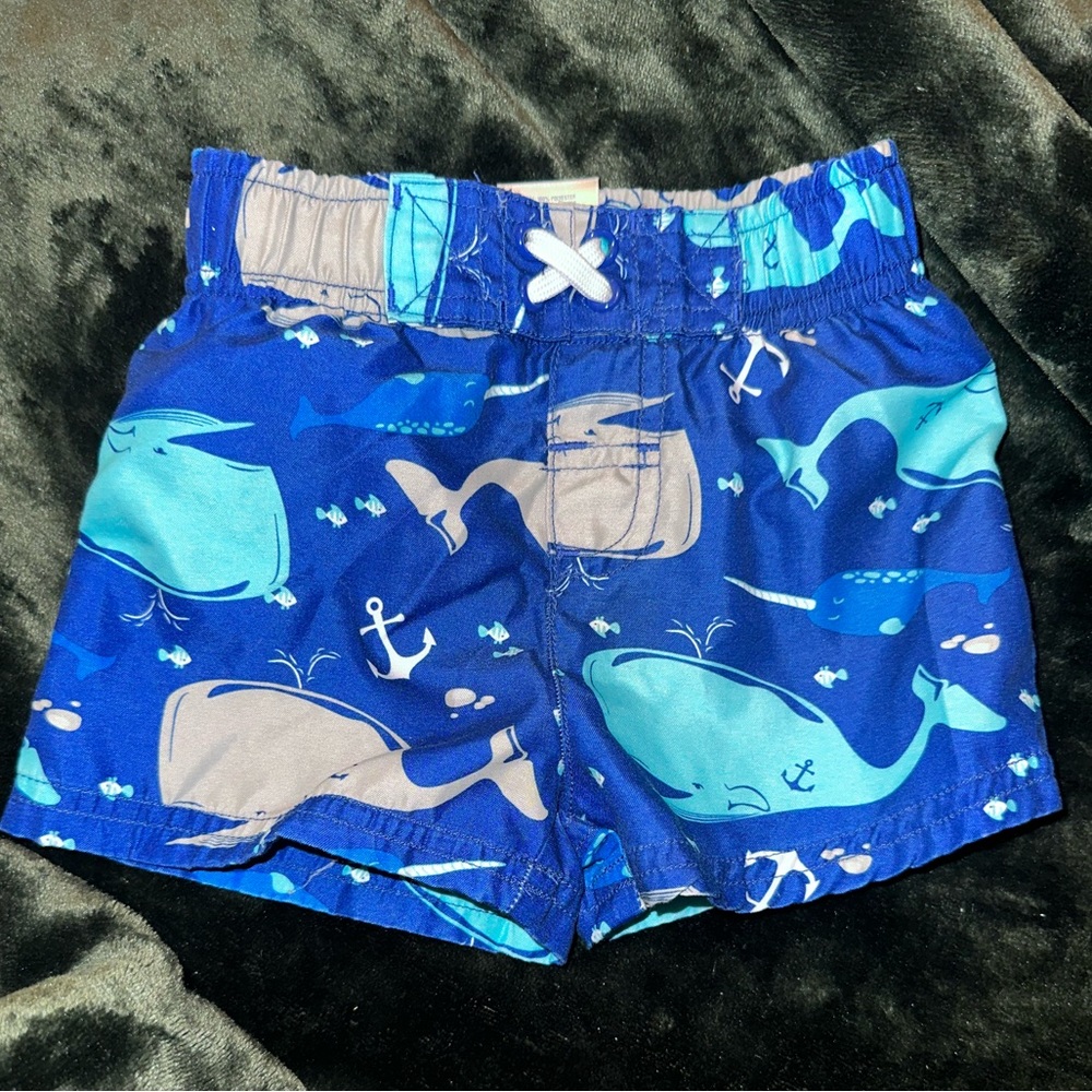 12 month swim trunks whale design